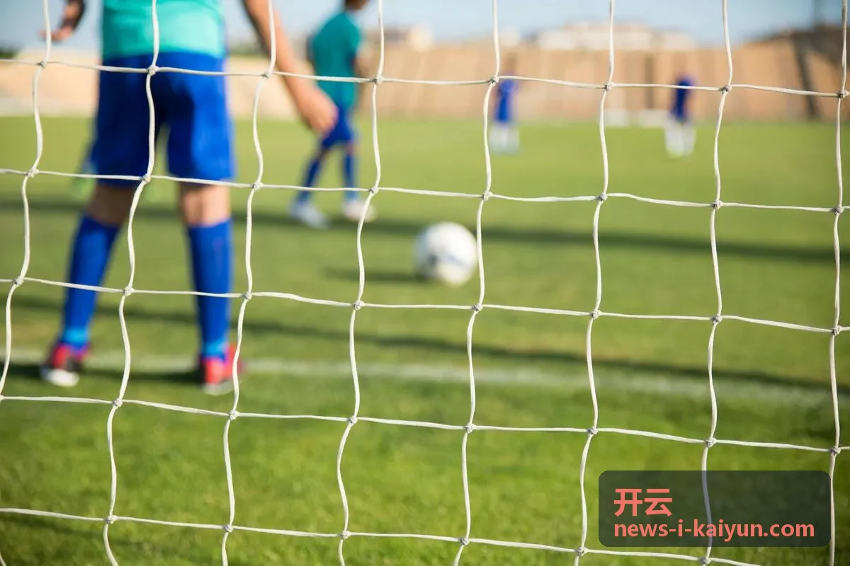 开云供应链优化案例